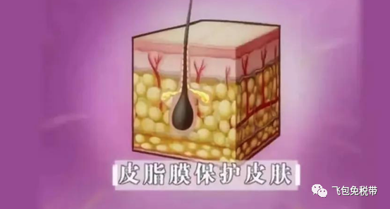 OWEBO7QjpgEJu LRGsMqLQ2