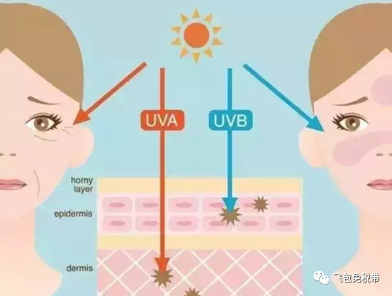 OWEBO7QjpgEJu LRGsMqLQ4